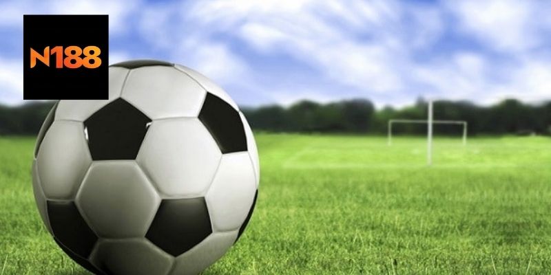 Cách theo dõi và phân tích 